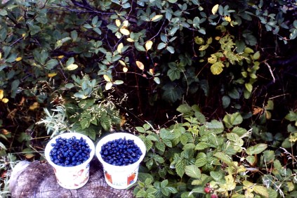 My beautiful picture