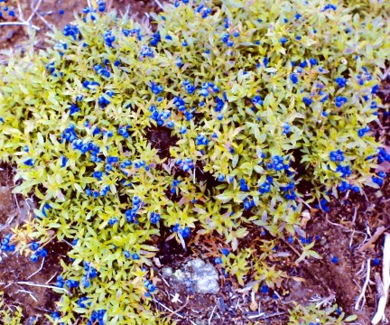 My beautiful picture