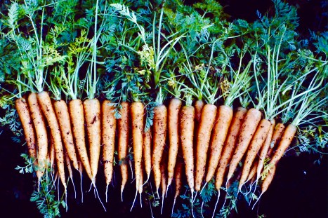 My beautiful picture