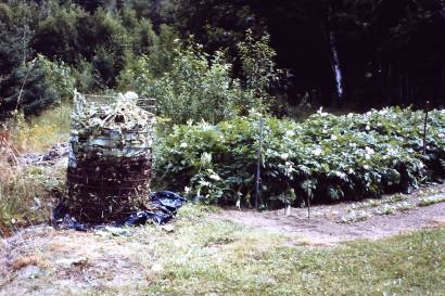 Discarded Weeds & Leaves