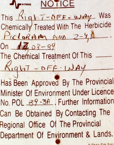 My beautiful picture