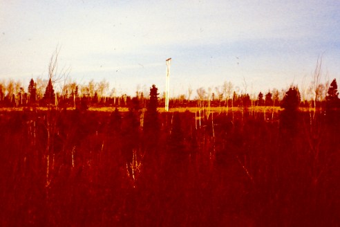 My beautiful picture