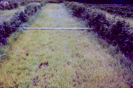 My beautiful picture