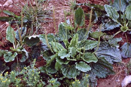 My beautiful picture