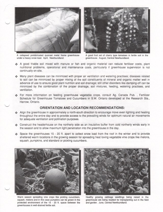 Fact Sheet Greenhouse Veg 3.jpg