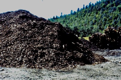 My beautiful picture