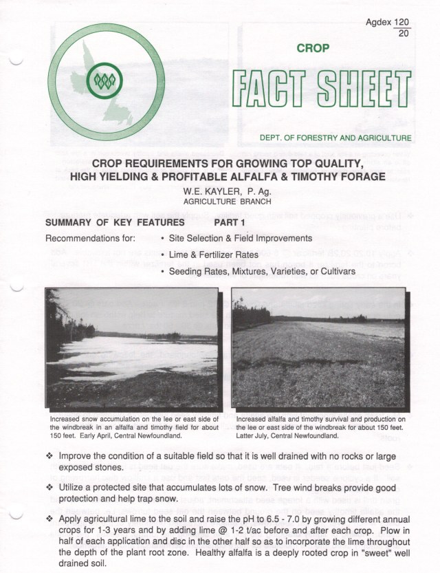 Alfalfa & Timothy Fact Sheet (p1).jpg