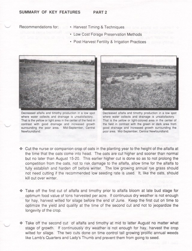 Alfalfa & Timothy Fact Sheet (p3).jpg