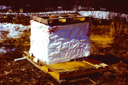 My beautiful picture