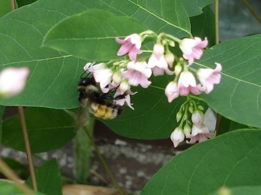 image-11-25-15-at-11-20-am-1